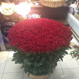 201 Эквадорская роза в корзине