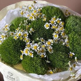 Ромашковое поле