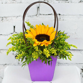 Композиция Солнышко