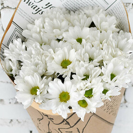 Букет 7 белой кустовой хризантемы в крафте