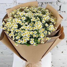 Букет 9 ромашек в крафте
