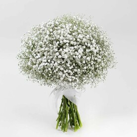 Букет 25 белой гипсофилы