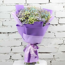 Букет 15 радужной гипсофилы