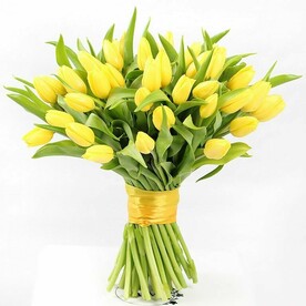 Букет 51 желтый тюльпан