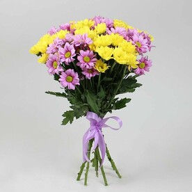 9 кустовых хризантем желто-розовый микс