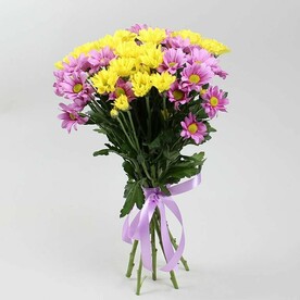 Букет 7 кустовых хризантем микс