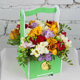 Композиция 25 фрезии микс в кашпо