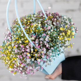 Композиция 7 радужной гипсофилы в кашпо