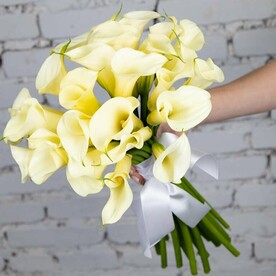 Букет 25 белых калл