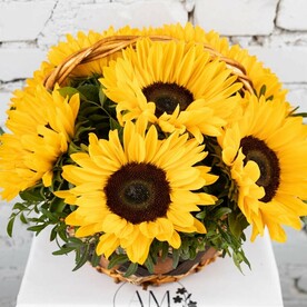 Композиция 9 посолнухов в корзине