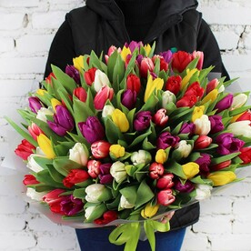 Букет 101 тюльпан микс в упаковке
