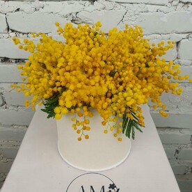 Композиция Мимоза в шляпной коробке