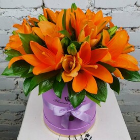 Композиция 5 оранжевых азиатских лилий в коробке