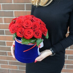 Композиция М