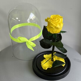 Роза в колбе мини желтая