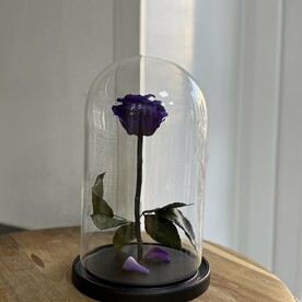 Роза в колбе премиум фиолетовая