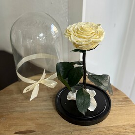 Роза в колбе Вип лимонная