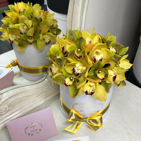 Летний микс из 25 орхидей в коробке