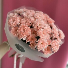 Моно из вишневых хризантем