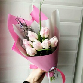 Семь тюльпанов