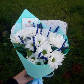 Мечты о лете