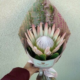 Протея счастья