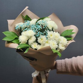 Сияние зимы