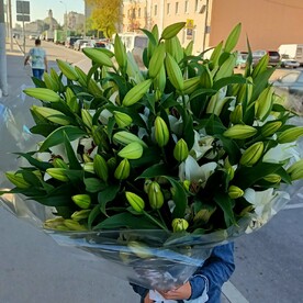 Букет из 25 шт лилия