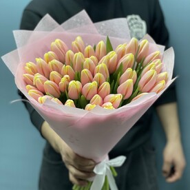 51 Тюльпанов