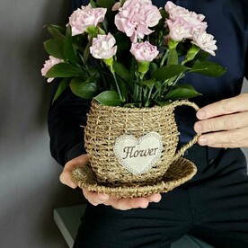 Диантусы в корзинке