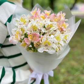 Альстромерия микс