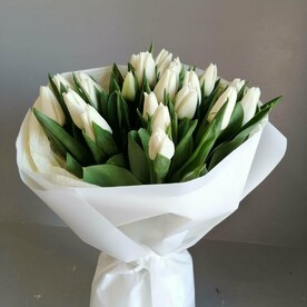 Букет из 19 Белых Тюльпанов 🤍