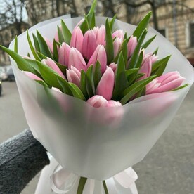 Букет из 29 Розовых Тюльпанов 🌷