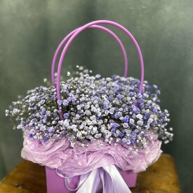 Сумочка гипсофил