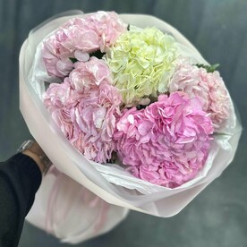 Гортензия микс