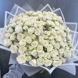 Нежность кустовых роз