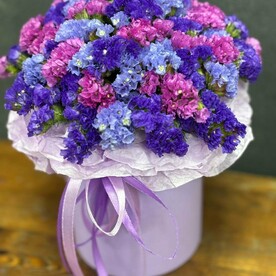 Яркий бокс статицы