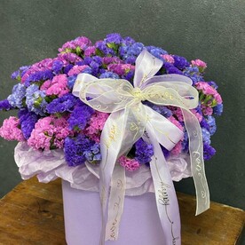 Бокс статитца М