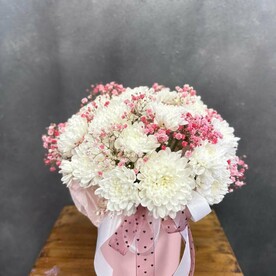 Хризантема с гипсофилой в боксе