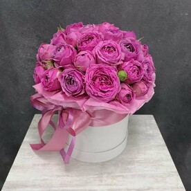 Коробочка Мисти