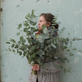 Пучок эвкалипта