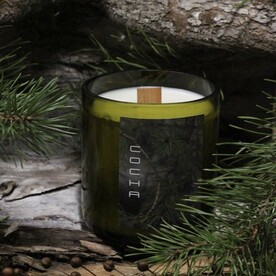 Свеча - Сосна