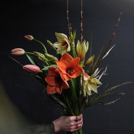 Амариллисы, тюльпаны и цветущие ветви