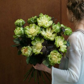 Необычные розы Veggie - Купить зеленые розы-капустки с доставкой СПб