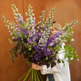 Дельфиниум и травы - Охапка дельфиниума с доставкой СПб