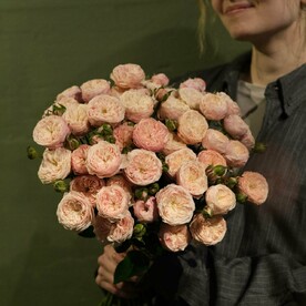 Пионовидные розы - Букет пионовидных роз