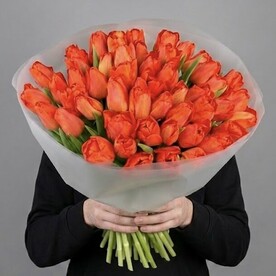Оранжевый тюльпан 51 шт