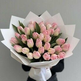 Светло-розовый тюльпан 35 шт