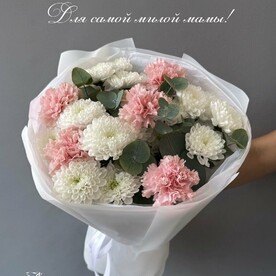 Хризантемы и диантусы