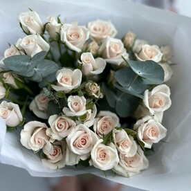 9 кремовых кустовых роз (Букет №38)